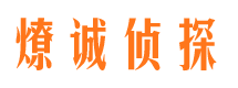 嘉黎侦探社